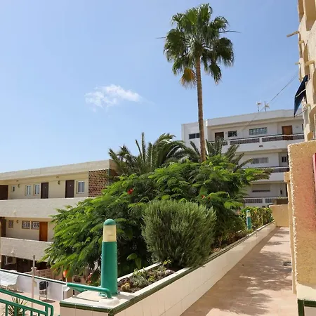 Nera San Agustin (Gran Canaria)